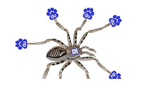 seo優化策略百度蜘蛛